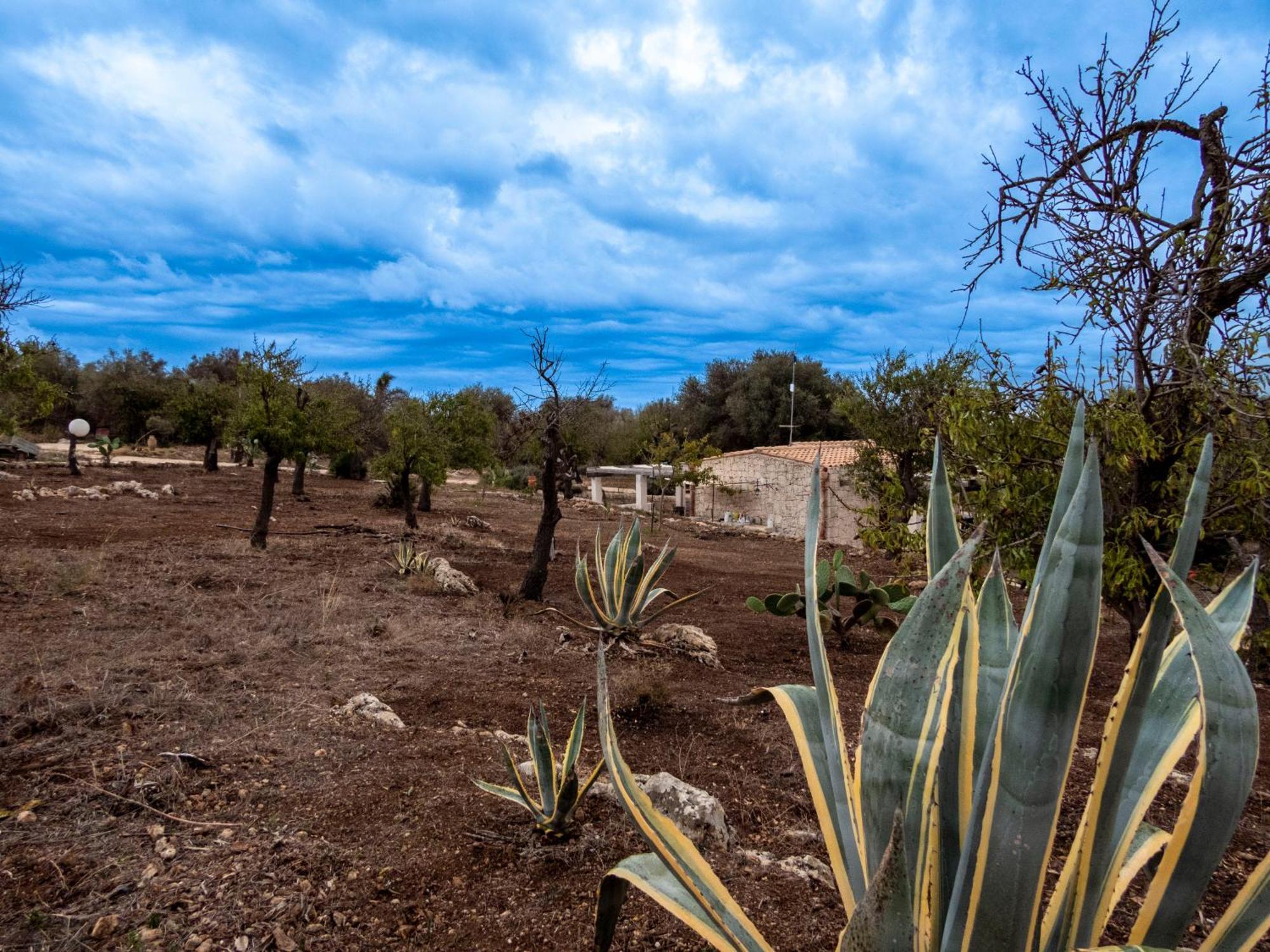 Casa Bedda Villa Lido di Noto Екстериор снимка